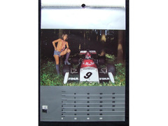 Calendario 1974 Auto 11 Marlboro Lancia Poster Coll.Privata