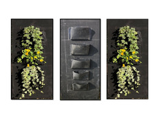 Waal decor floor
