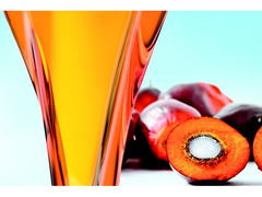 Olio di Palma Grezzo e Raffinato Olio di nocciolo di palma, olio per biodiesel
