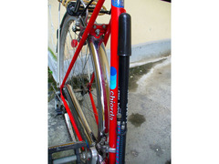 BICI UOMO Classica