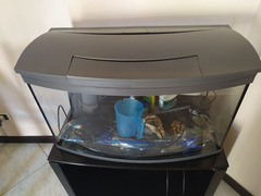 Acquario Tetra Pure Led XL 100 lt