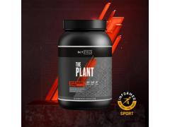 THE Plant - 20servings - Caramello salato