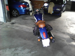 INDIAN SCOUT