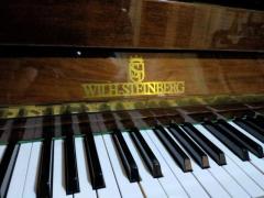 Pianoforte Whil Steinberg