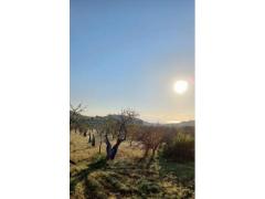 Vendita terreno Val di Noto