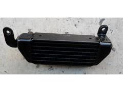 Forcellone / Monobraccio Triumph Speed Triple 1050 prima serie ('98-'01)