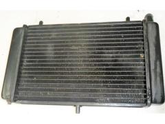 radiatore aprilia rs 125 2005