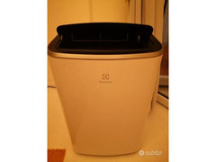 Climatizzatore Electrolux