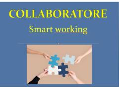 Collaboratore smart working