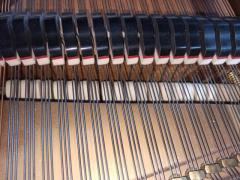 Vendo pianoforte a coda