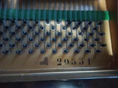 Vendo pianoforte a coda