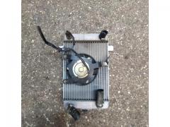 RADIATORE ACQUA BURGMAN 400 05