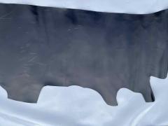 Pelle di vitello fiore nera segnata con matita