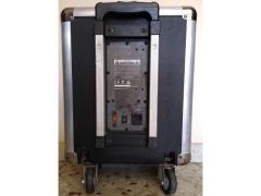 Cassa trust Fiesta, 60 watt RMS con mixer