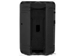 Cassa amplificata con altoparlante da 32cm!