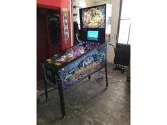 FLIPPER AEROSMITH STERN