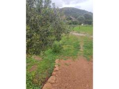 Terreno agricolo 500mt recintato e pianeggiante