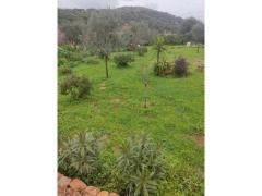 Terreno agricolo 500mt recintato e pianeggiante