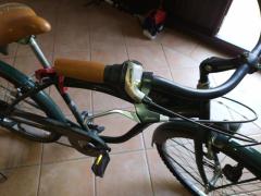Bici Cruiser Uomo.