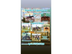 Pensione cavallo