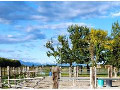 Pensione cavallo