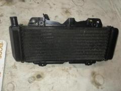 radiatore HONDA CN 250 SPAZIO