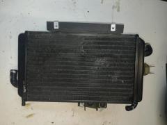 Radiatore completo Piaggio Hexagon 125 150 2T