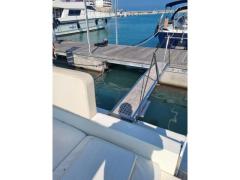 Conam Lupo di mare 36