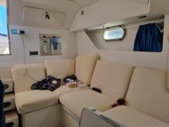 Conam Lupo di mare 36