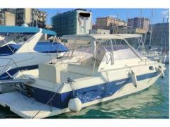 Conam Lupo di mare 36