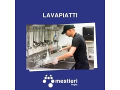 cercasi Lavapiatti