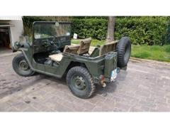 Ford mutt