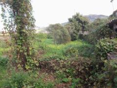 COD 023 Rudere con terreno