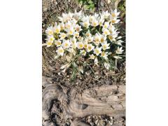 Viaggi di primavera:  idee per il cambio stagione