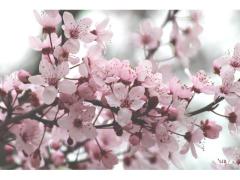 Viaggi di primavera:  idee per il cambio stagione