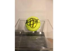 Pallina Tennis Autografata Novak Djokovic Tennis Ball Signed Autografata DJOKOVI