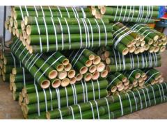 Vendo canne di bambù bambu con diametro da 1 cm. fino a 10 cm.
