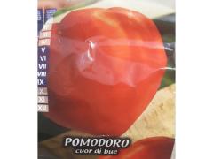2 Piantine Pomodoro Cuor di Bue Vere Bio