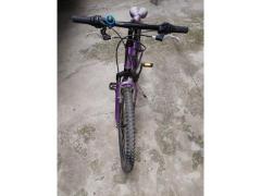 Bicicletta bambina marca fuji 24 "