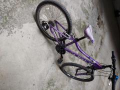Bicicletta bambina marca fuji 24 "
