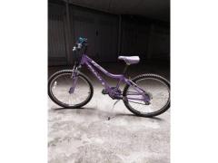 Bicicletta bambina marca fuji 24 "