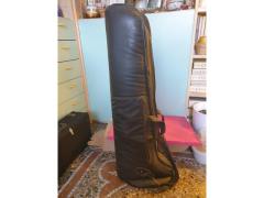 Vendesi trombone king+accessori