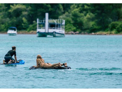 VENDITA  LAMPUGA  AIR 4 Elettrico 50 KM/H