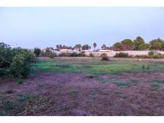 Terreno Agricolo vicino alla Spiaggia libera