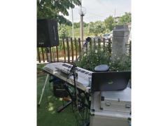 max music live  musica per ogni occasione