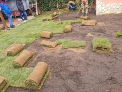 Giardiniere Esperto in POTATURE, PRATI PRONTI E IMPIANTI IRRIGAZIONE