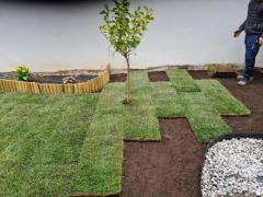 Giardiniere Esperto in POTATURE, PRATI PRONTI E IMPIANTI IRRIGAZIONE