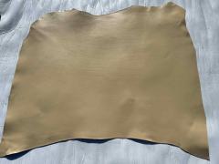 Spalla vegetale per cinture avorio SP. 3,2