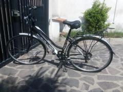 Bici da 28