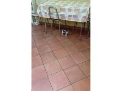 max cerca casa